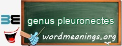 WordMeaning blackboard for genus pleuronectes